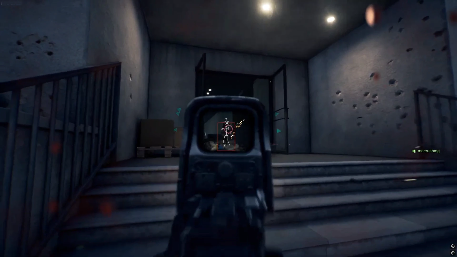 Frost (BF6) Lifetime